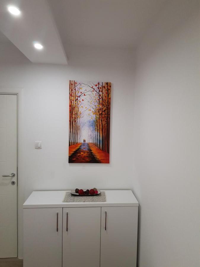 Apartment Gea 18 ノヴィ・サド エクステリア 写真
