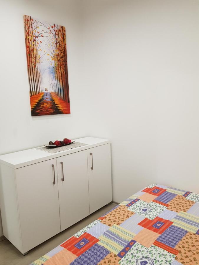 Apartment Gea 18 ノヴィ・サド エクステリア 写真